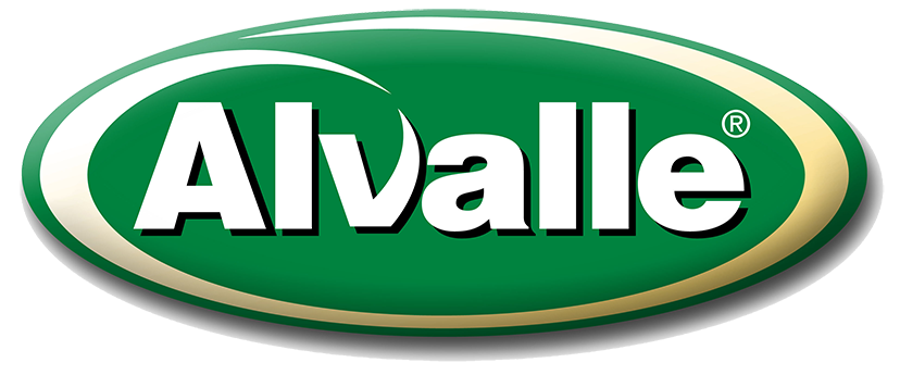 1999_Logo Alvalle 2007